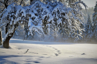 Schnee von gestern, der nicht schmelzen will
