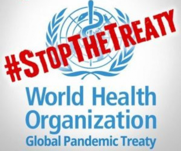 Verfassungsbeschwerde gegen die Pläne der WHO eingereicht – Machen Sie mit!